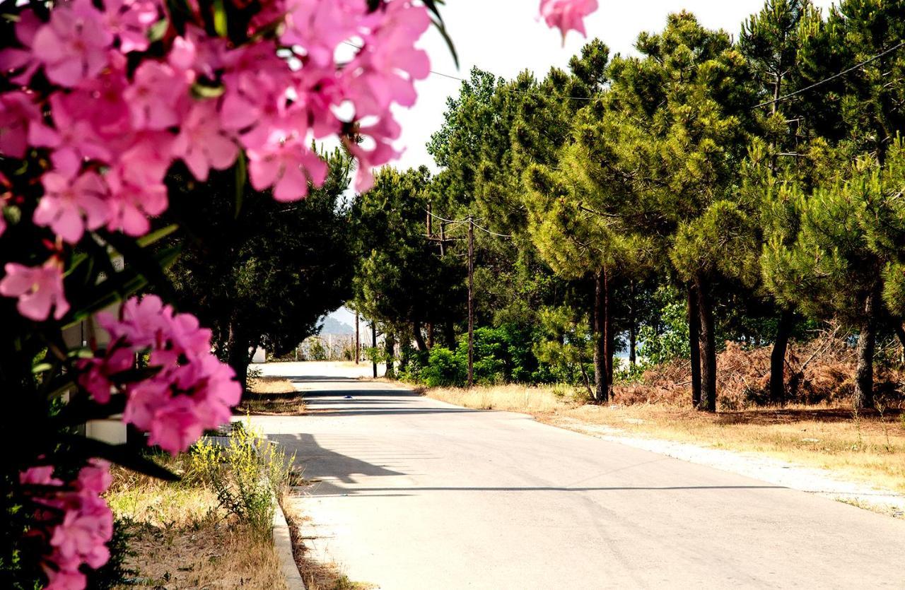 Sunrise Apartments Keremetli Dış mekan fotoğraf